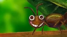 Animals ABC - Funny Ant, "A" from www.ThatsMEonTV.com