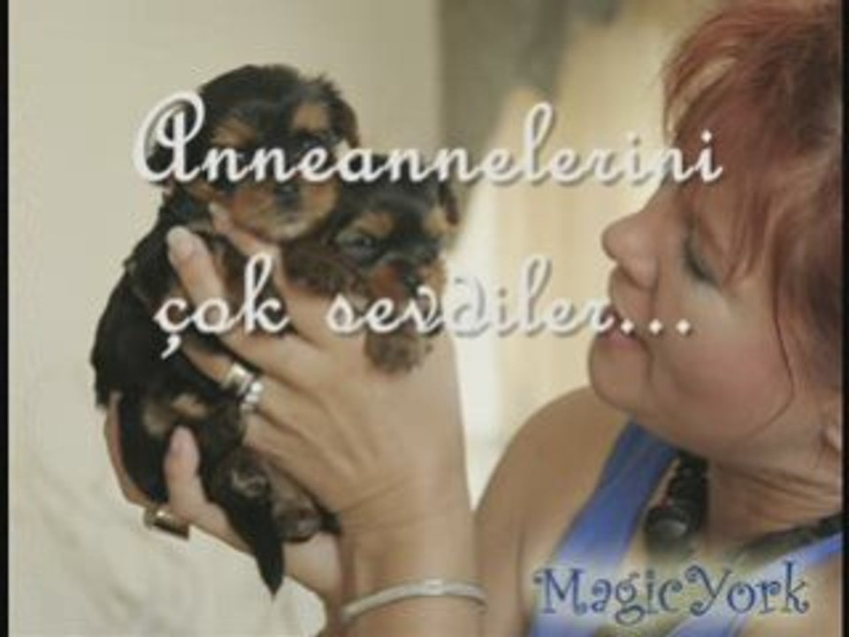 Milky Way & Mexer Setare