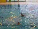 Quatuor gala girondins natation Synchro 2008