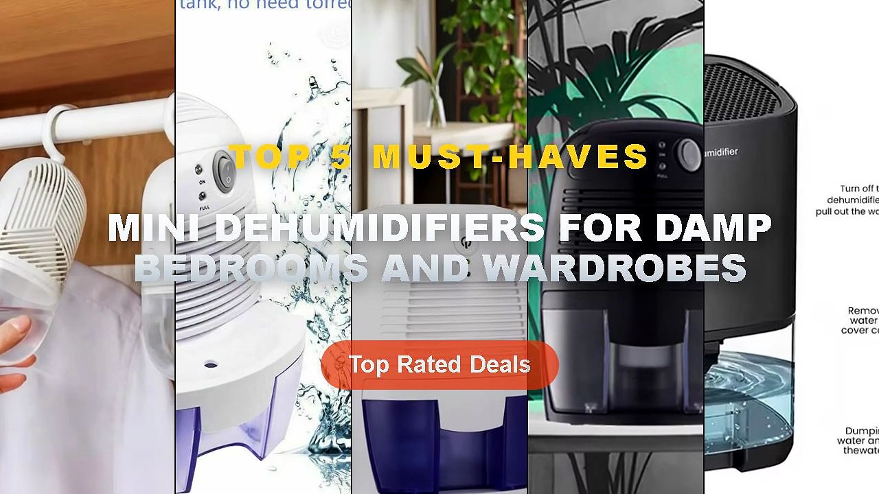 Cheap & Best Mini Dehumidifiers For Damp Bedroo...