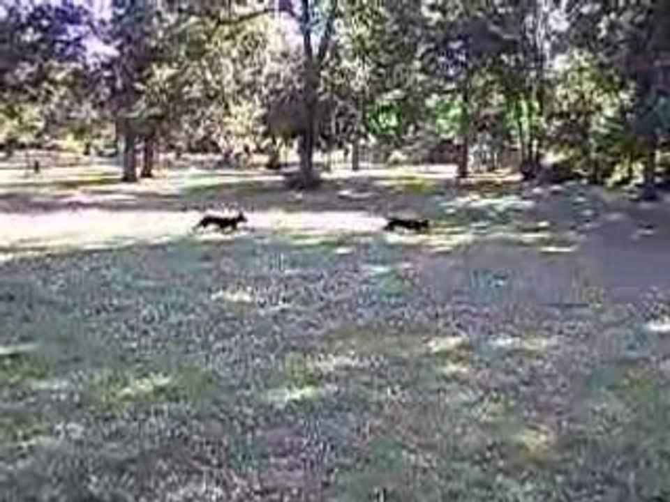 IMGP0635