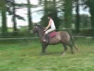 Qu'Enzo et Norway saut 6