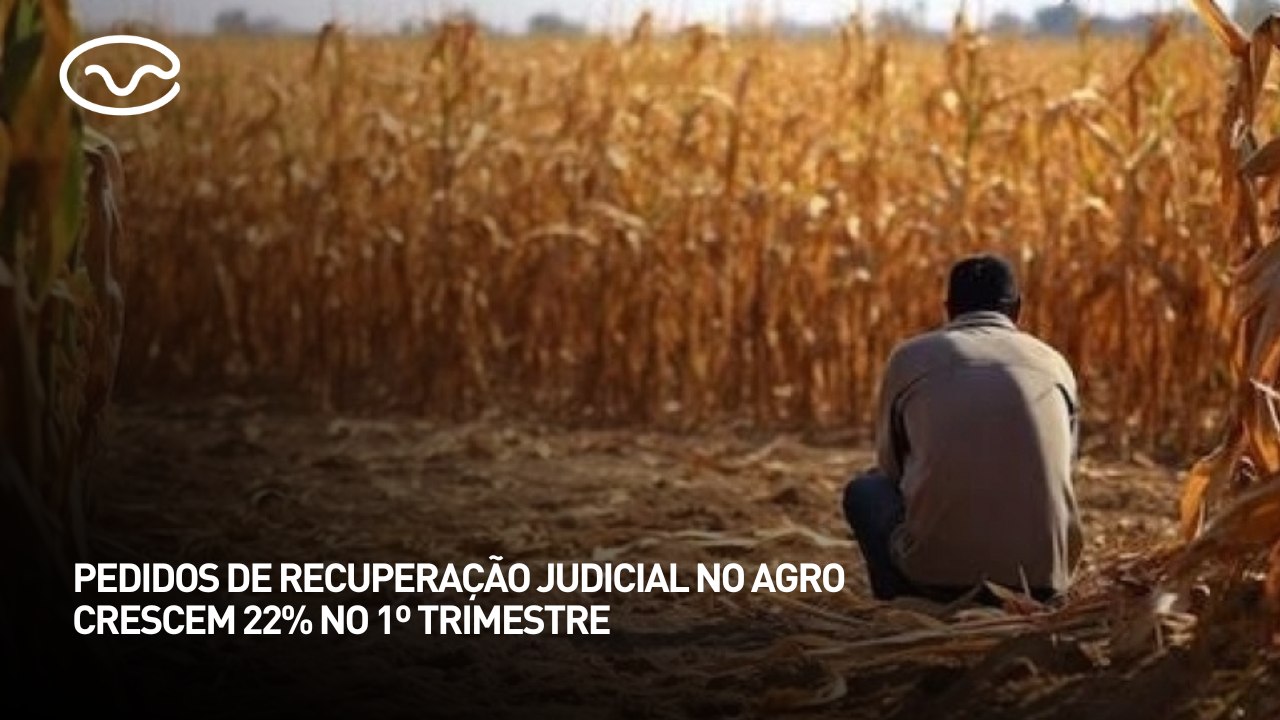 Pedidos de recuperação judicial no agro crescem...