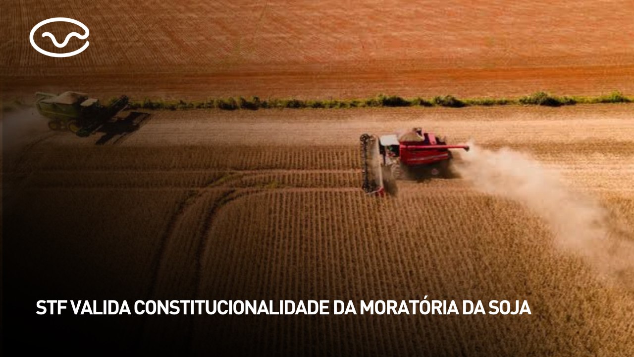 STF valida constitucionalidade da moratória da...