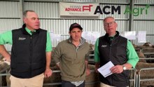 Record-breaking ram sale in South Australia