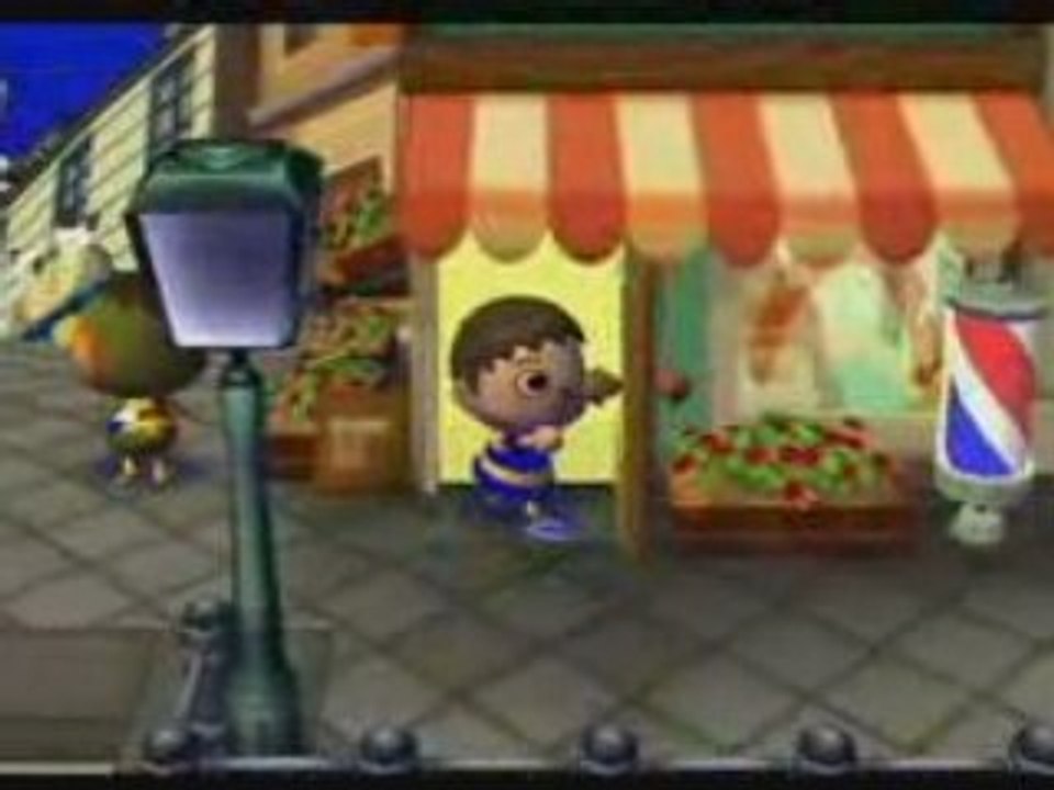 Animal Crossing City Folk