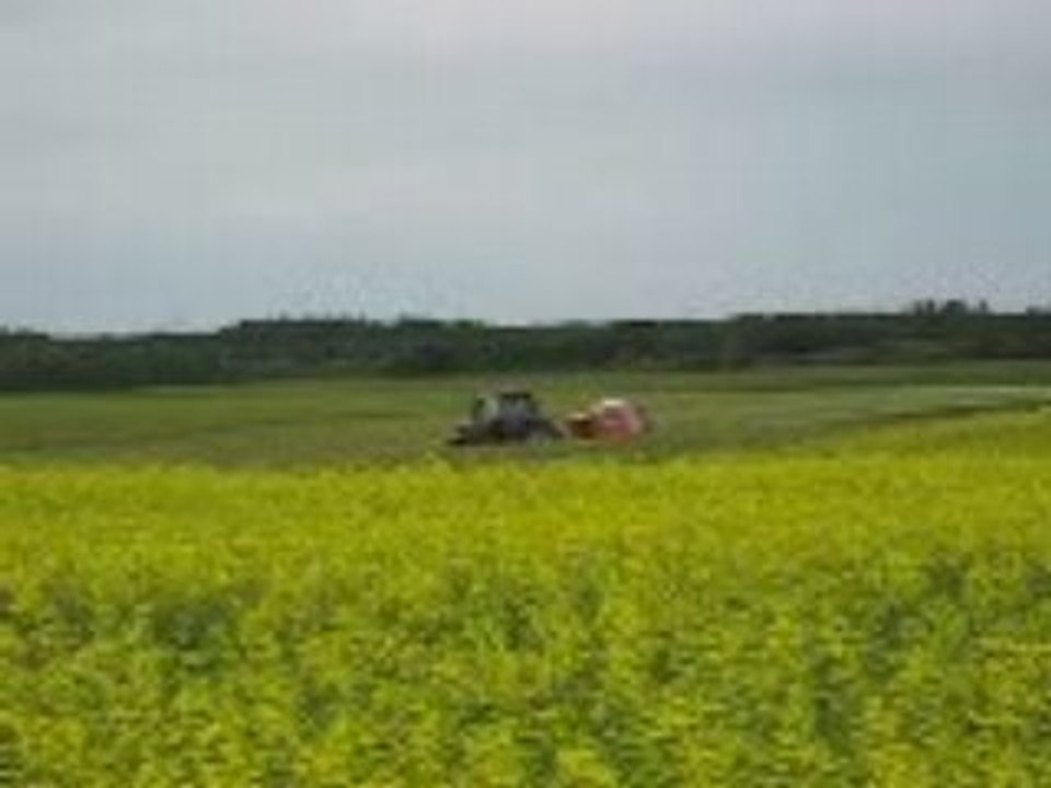 Fabrication de Balles rondes