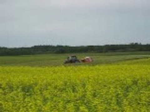 Fabrication de Balles rondes
