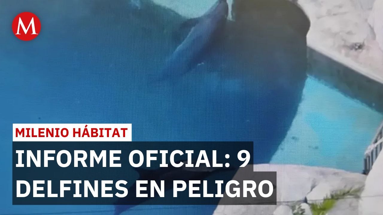 Informe documenta graves enfermedades de los nu...