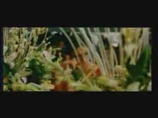 Maine Hawa Ke Paron Pe - Mere Baap Pehle Aap