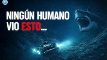 Exploraron el lugar más profundo de la Tierra: esto fue lo que descubrieron