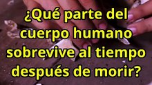 ¿Qué parte del cuerpo humano sobrevive al tiempo después de morir?