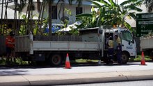 Darwin council cancels annual pre-cyclone clean up leaving locals disgruntled