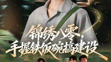 锦绣八零，手握铁饭碗搞建设