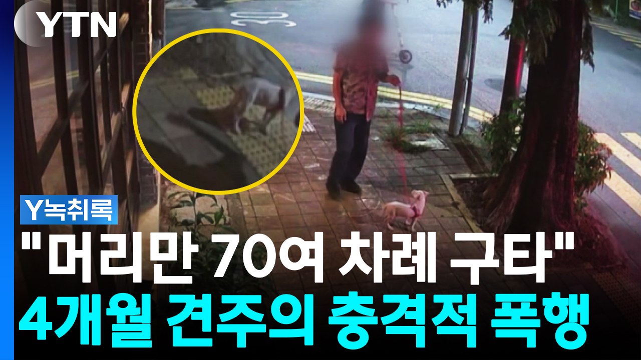 70여 차례 구타 당한 강아지..."교육 목적, 학대 아냐" [Y녹취록] / YTN