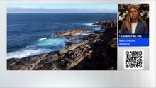 Tasmania confirms first case of H5N1 bird flu