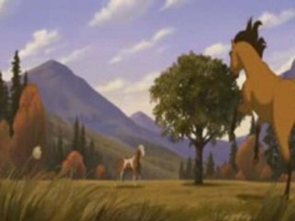 spirit - mes racines et mes ailes