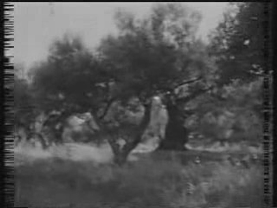 Générique de: le petit train de la mémoire