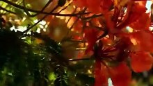 Married to a Hidden Fortune - FULL | Reelshort