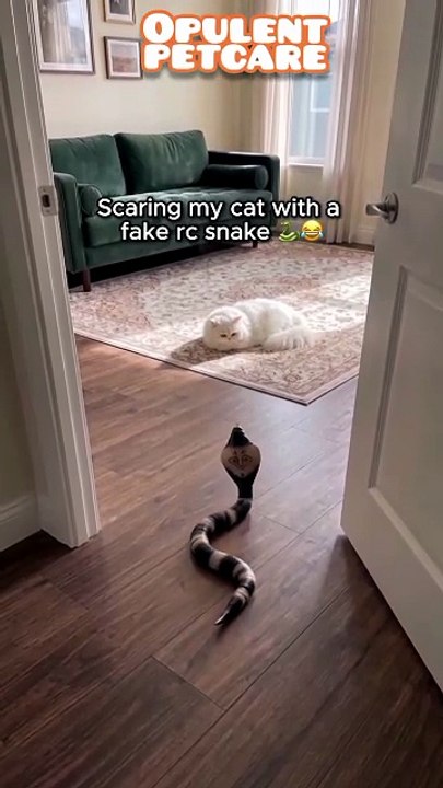 Smart Sensing Snake Cat Toy – Interactive Electronic Robot Snake with Remote & Obstacle Detection, USB Rechargeable Toy for Cats & Dogs