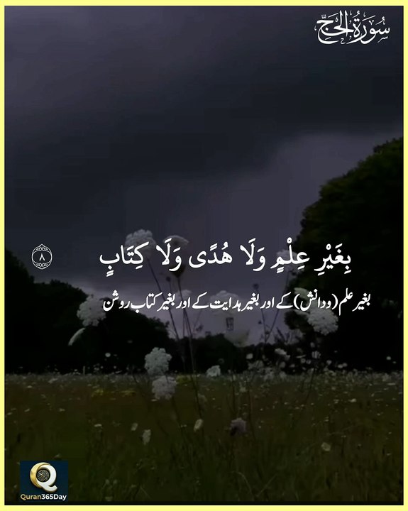 سورة الحج آية 8