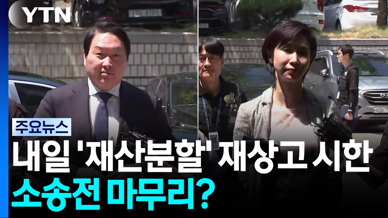 내일 최태원-노소영 '재산분할' 재상고 시한...소송전 마무리? / YTN