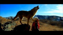 重返狼群 [纪录片] Back to the Wolves