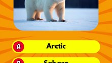 Can You Guess BOTH? 🌍 | Which Country Am I? (Only 1% Get 2/2!)
