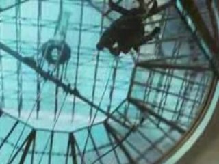 Watch the Exciting Trailer for Quantum of Solace – James Bond 007 Adventure 🎬