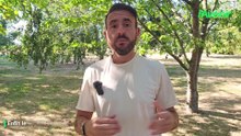 La météo 14 août 2026
