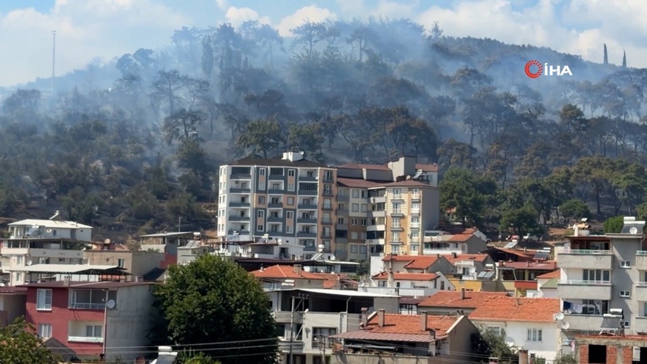 Kazdağları'nın eteklerinde yangın