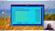How to set up plasma, enable SDDM and run wayland on Slackware