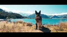 Heart of the Beast - Official Trailer #2