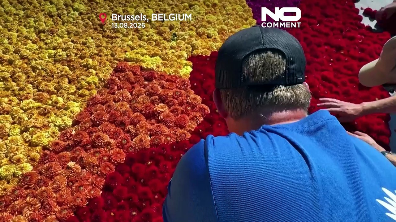 Brüssel enthüllt riesigen Blumenteppich nach Hokusai-Vorbild