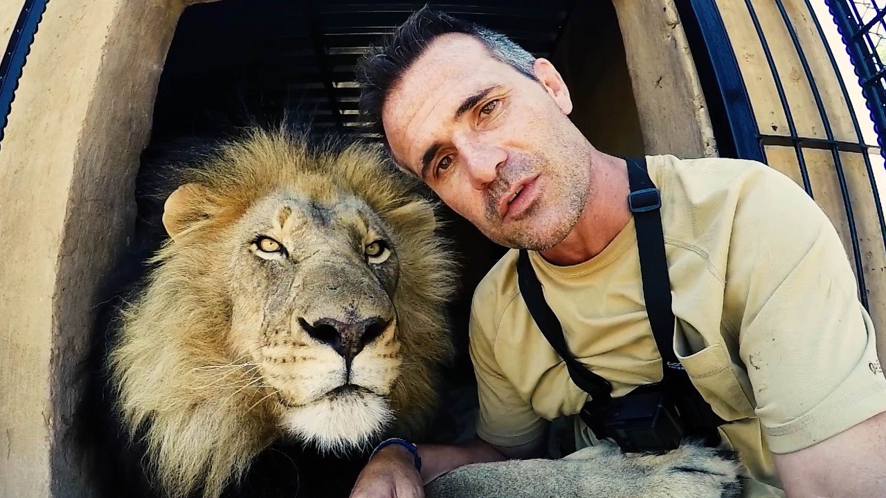 LION MAN Has Unbreakable Bonds with LIONS, Leopards and Hyenas! | The Lion Whisperer