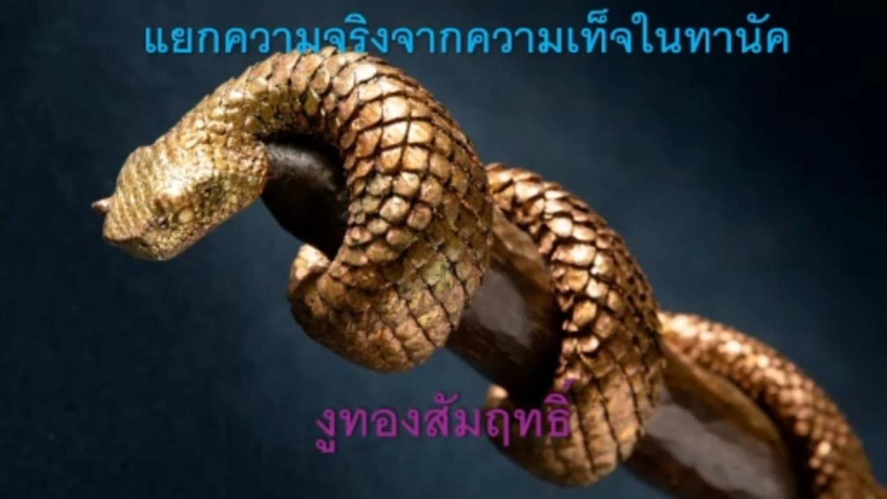 แยกความจริงจากความเท็จในทานัค  งูทองสัมฤทธิ์