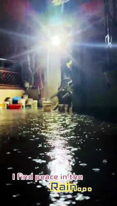 Monsoon Rain