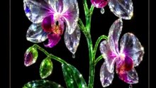 Crystal Orchid 🌸💎✨ 4K UHD AMOLED Moving Wallpaper | 15 Sec Loop #Shorts