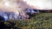 Major incident declared in Carmarthenshire wildfire: Evacuations underway