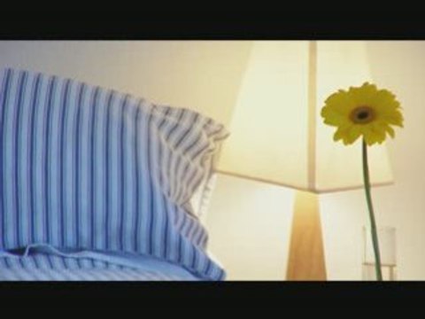 The Cornish Cottage - St Ives Cornwall