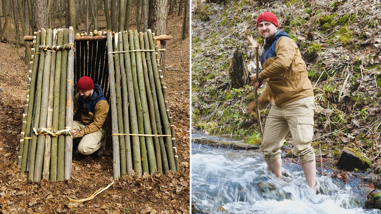 Wild Survival Secrets: Top Tips for Staying Saf...