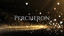 Percheron Sport On Daily Motion