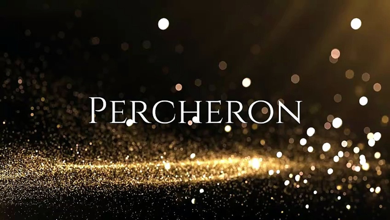 Percheron Sport On Daily Motion