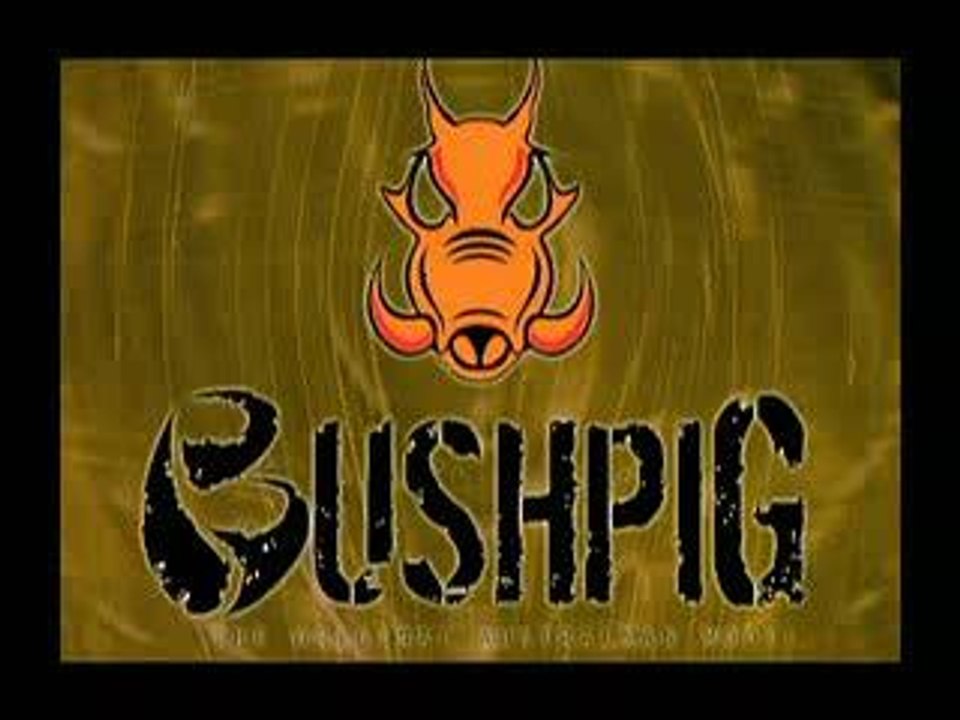 Bushpig