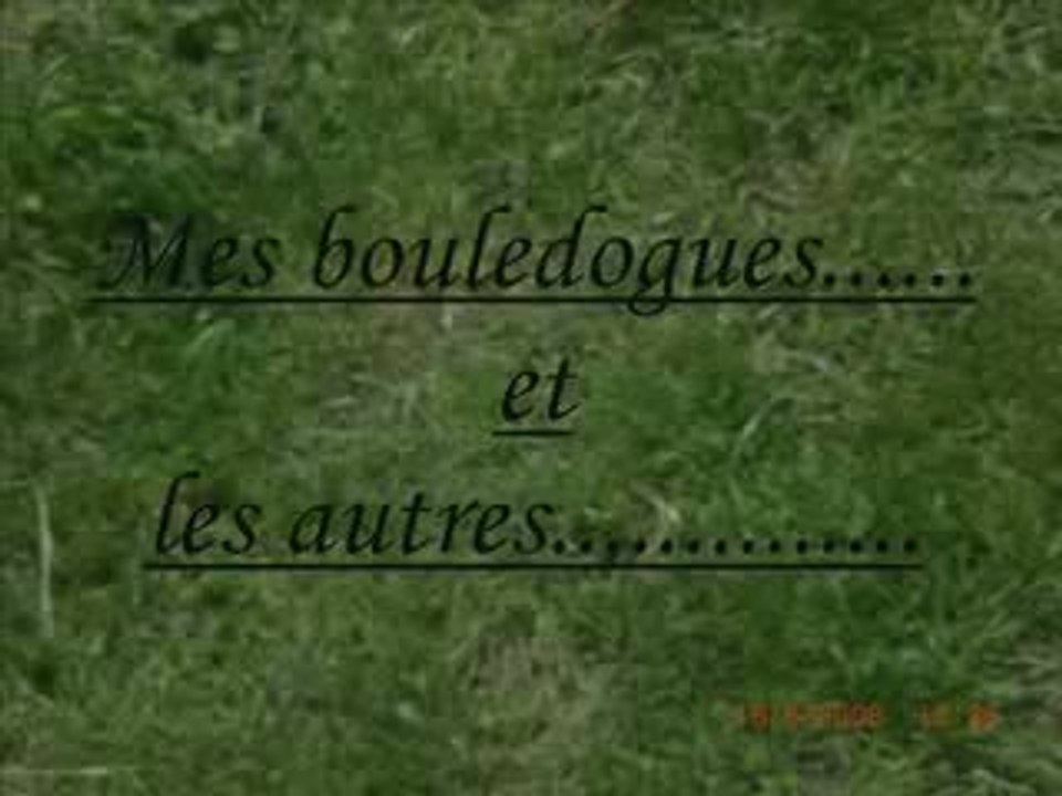 Nouvelle video boubou!