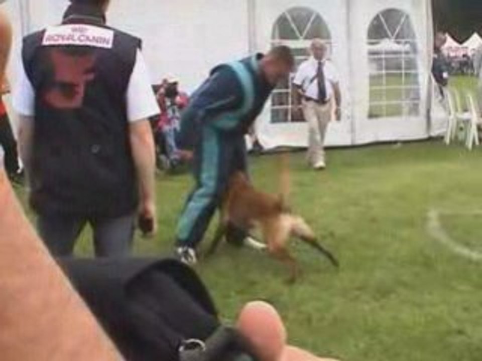 Udex du Banc des Hermelles Finale Ring Le Touquet 2008