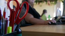 QLD opposition calling for emergency response after DV related murders rise