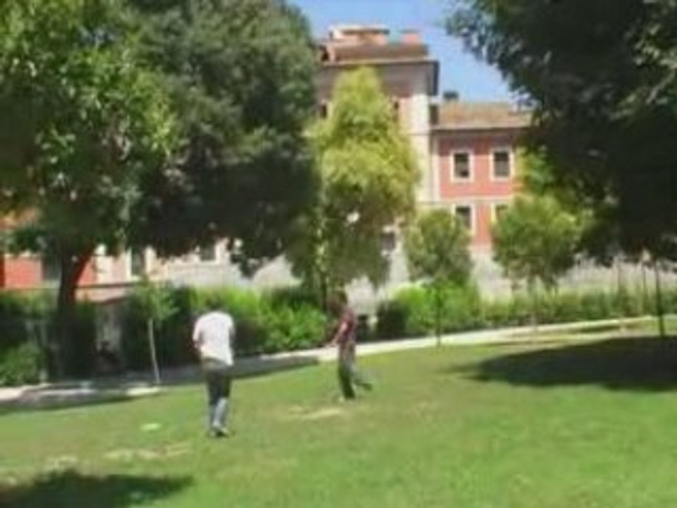 Il frisby pazzo