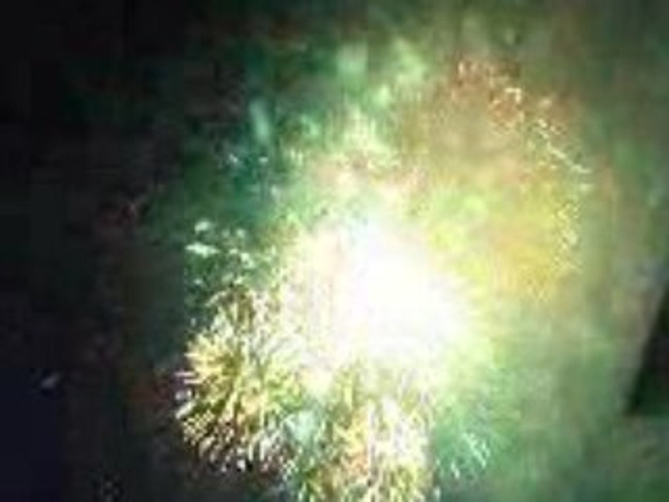 Feu d'Artifice 14 Juillet 2008 à FORBACH ( 5 )