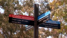 University of Canberra and Canberra Institute of Technology exploring potential merge